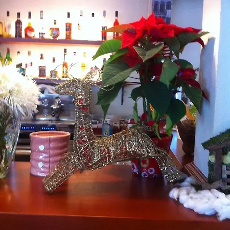 Firenze 3* Тирана