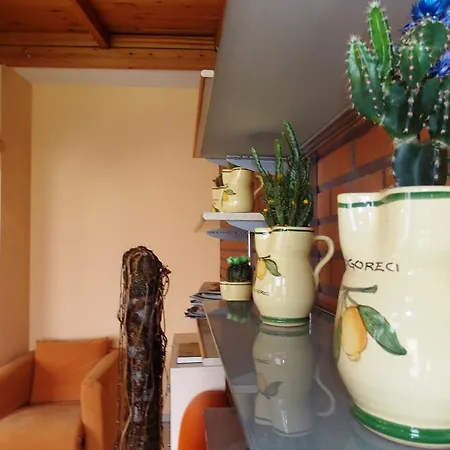 Отель Firenze Тирана